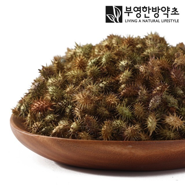 부영한방약초 이미지