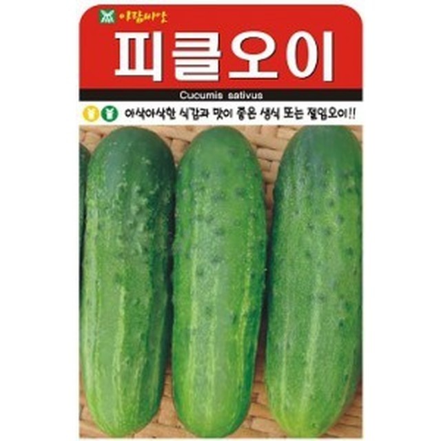 개미상회 이미지
