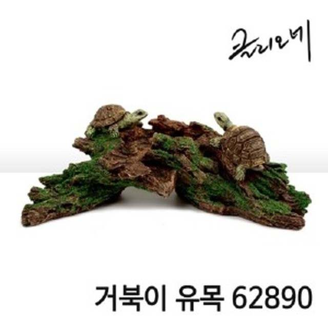 클리오네 이미지