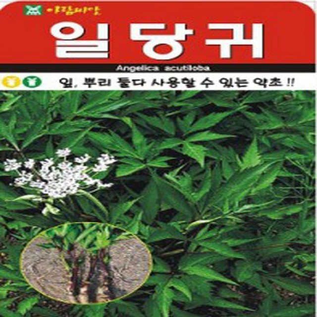 씨앗 이미지