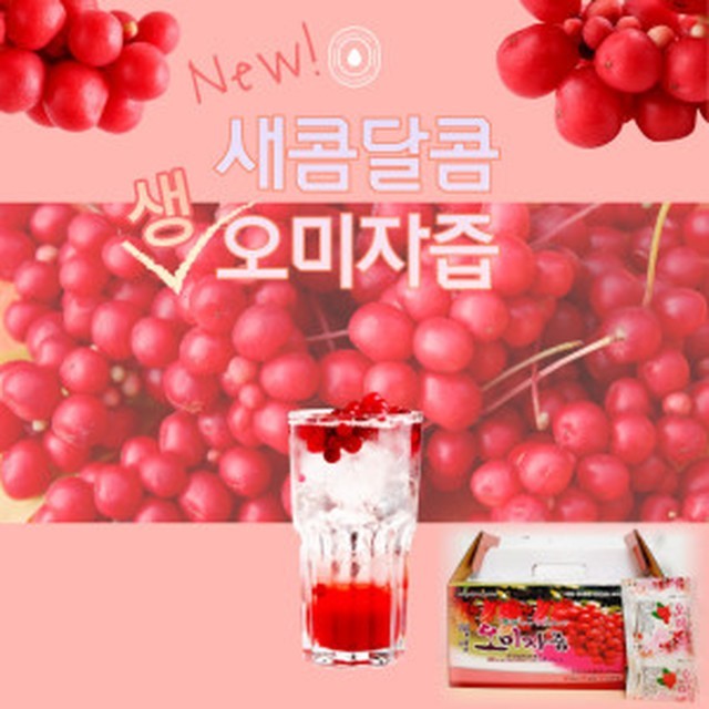 태양당 이미지