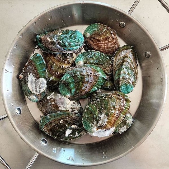 바다마켓 이미지
