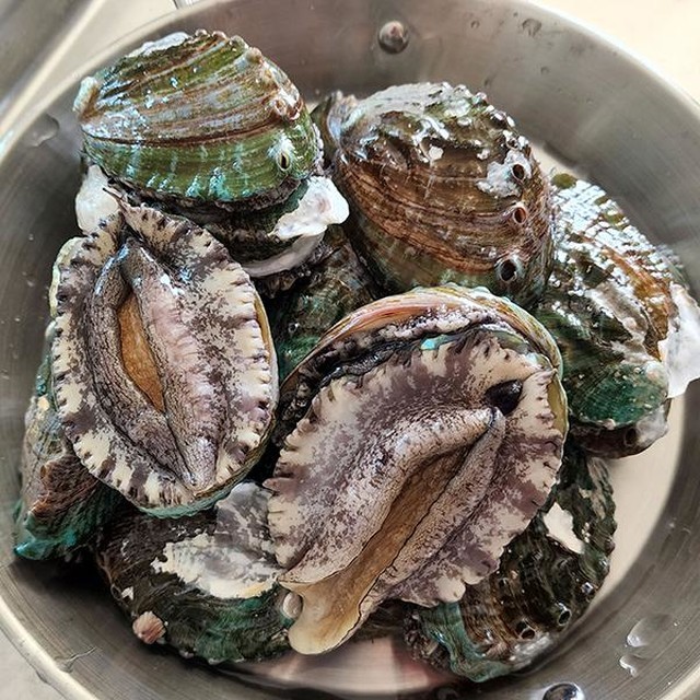 바다마켓 이미지