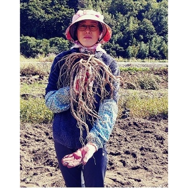 장수건재 이미지