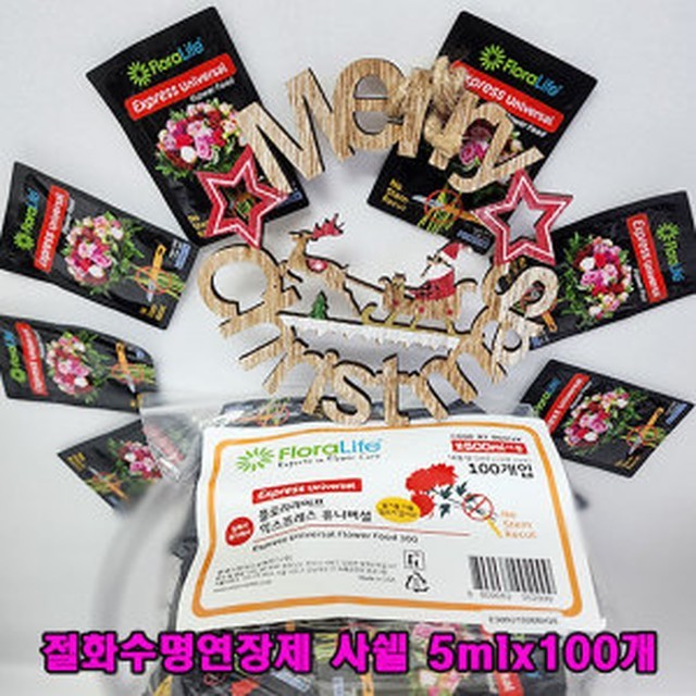 샤인플로라 이미지