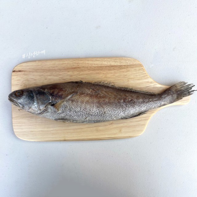 생선의민족 이미지