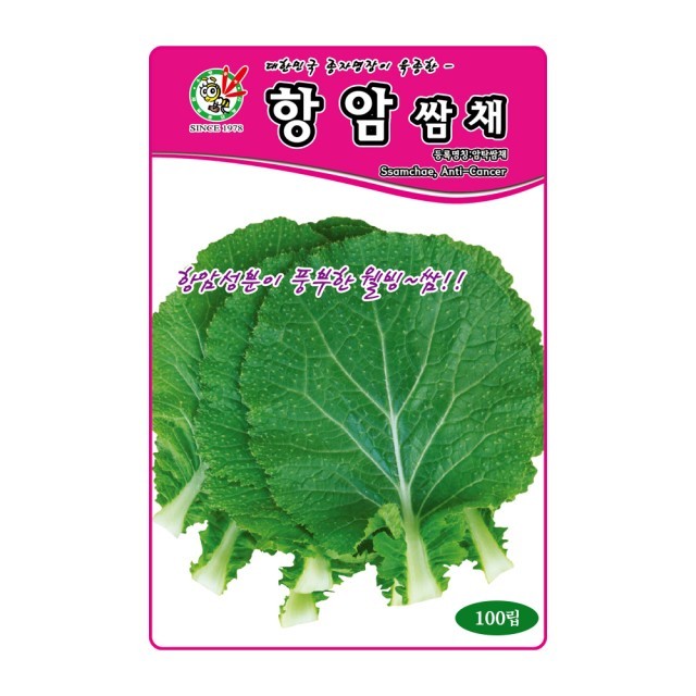 씨앗 이미지