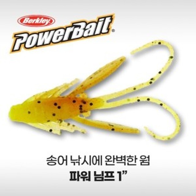 버클리 이미지