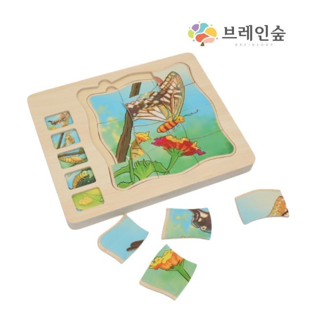 디엔지 이미지