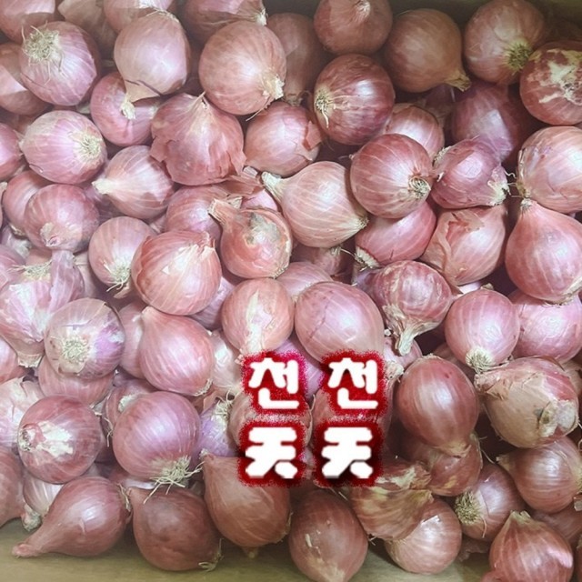 천천식품 이미지