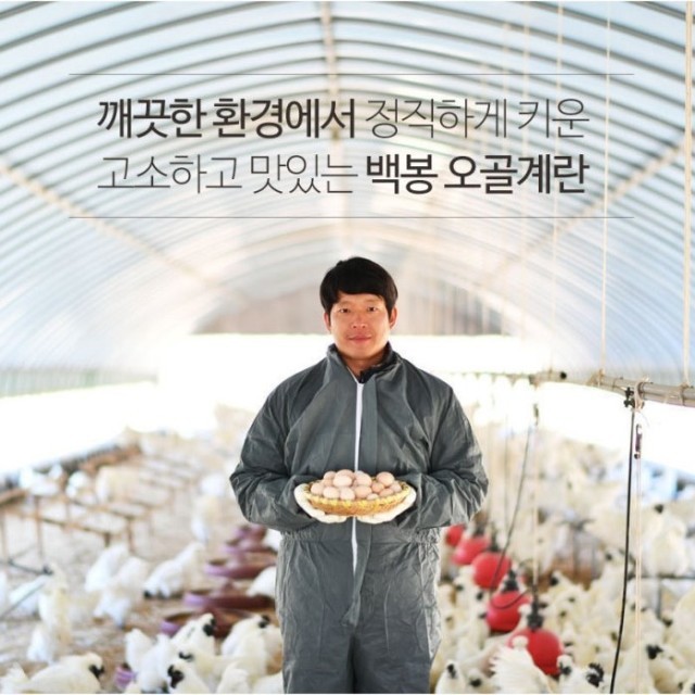 백봉인 이미지