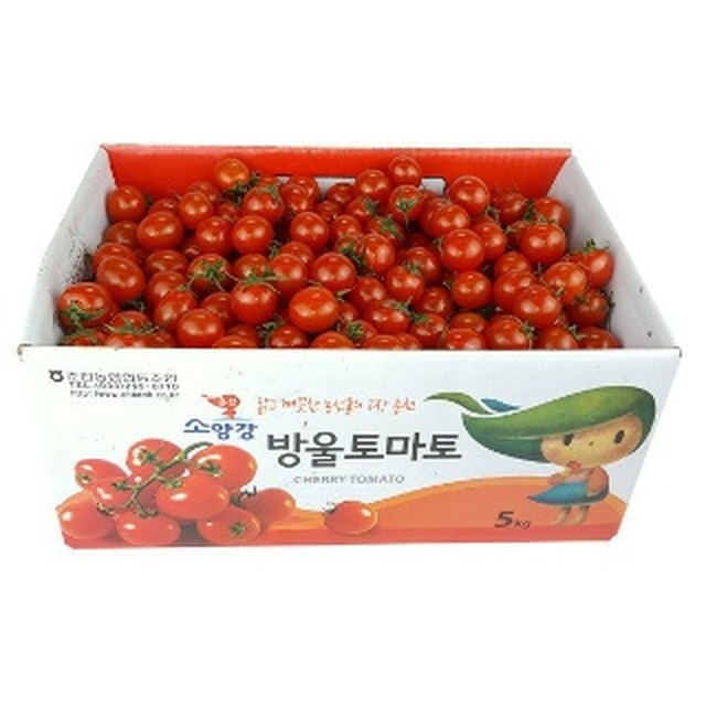 GreenFarm 이미지