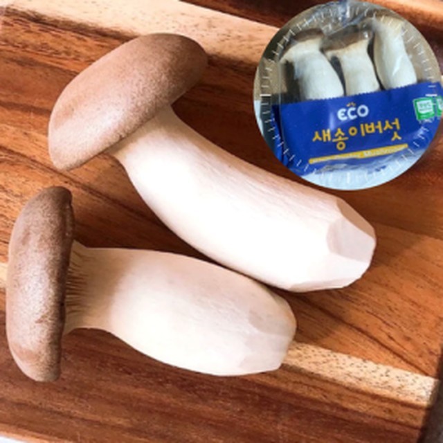 포미샵 이미지