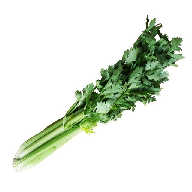 GreenFarm 이미지