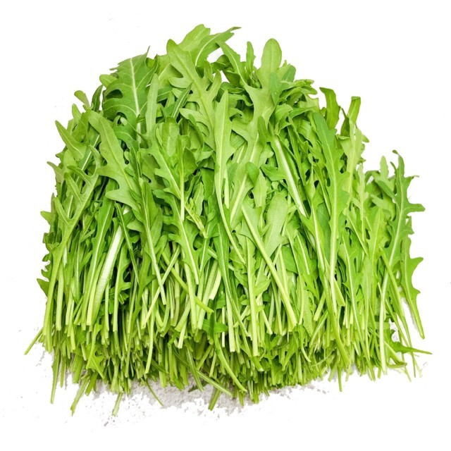 GreenFarm 이미지