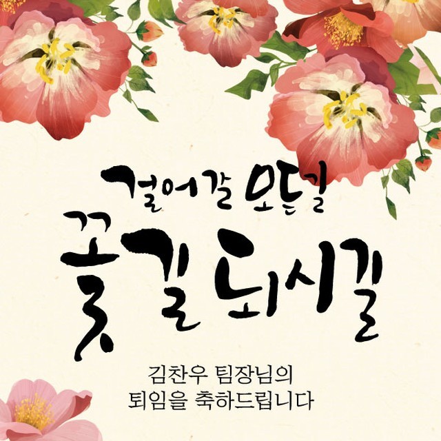 디자인레드 이미지