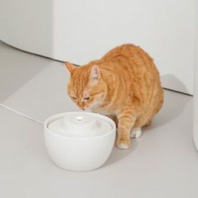 두잇 이미지