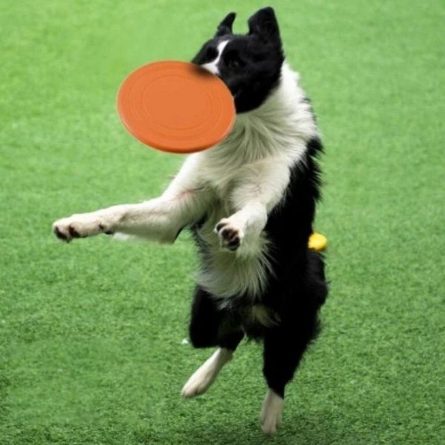 데굴데굴 이미지