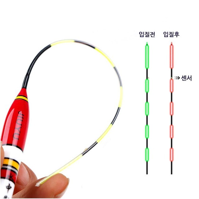 어와둥둥 이미지