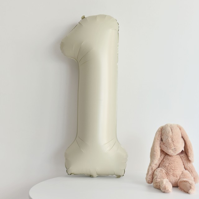 프롬데이지 이미지