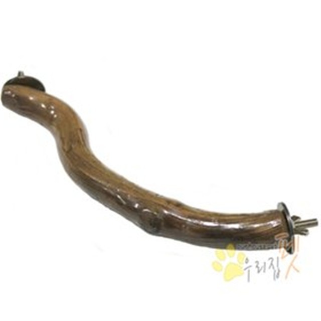 자연목 이미지