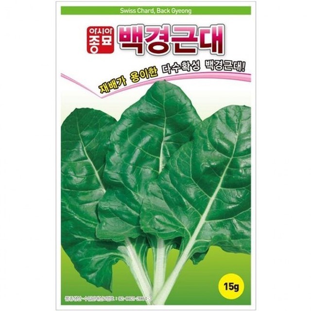 씨앗 이미지
