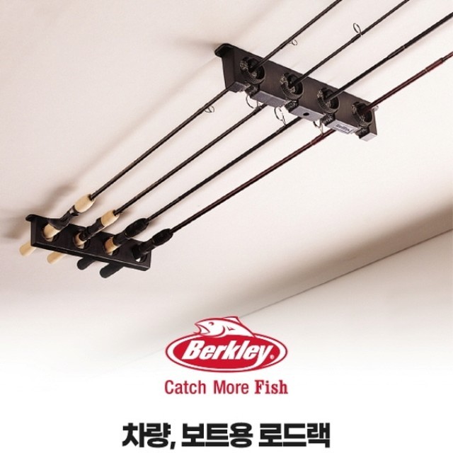 버클리 이미지