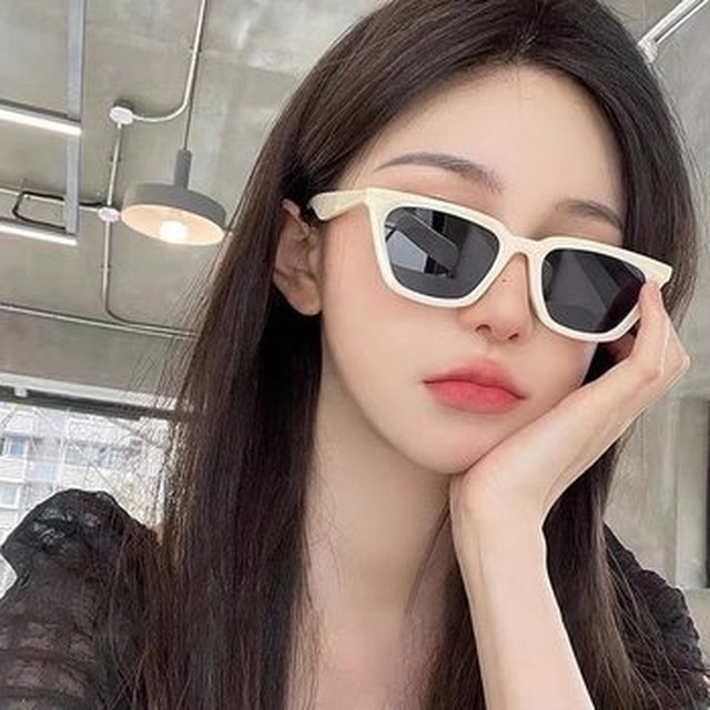 세이니 이미지