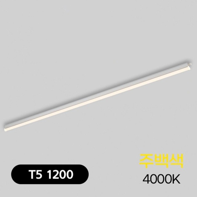 주백 이미지