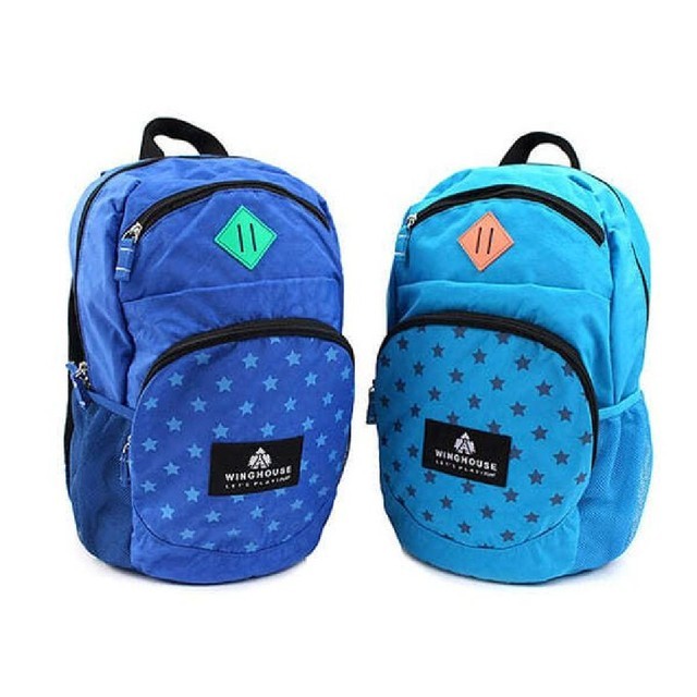 윙 이미지