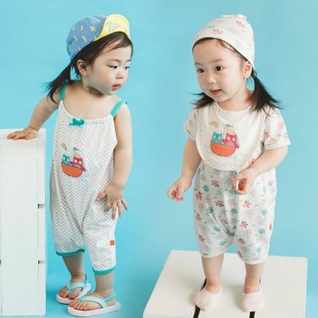 로이아 이미지
