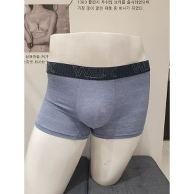 원더브라 이미지