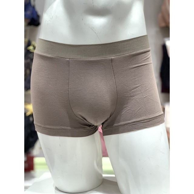 트라이엄프 이미지