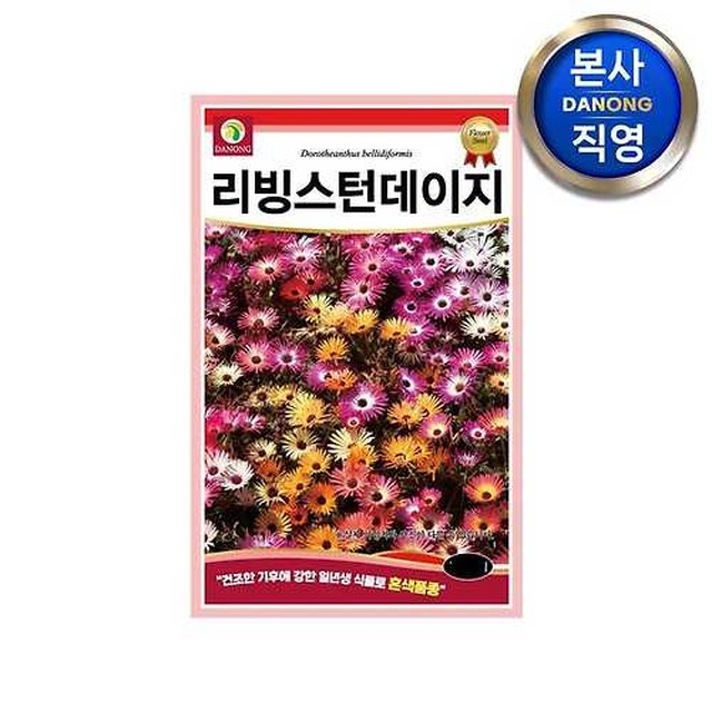 다농 이미지