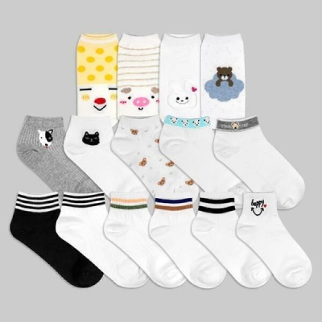 아이비스 이미지