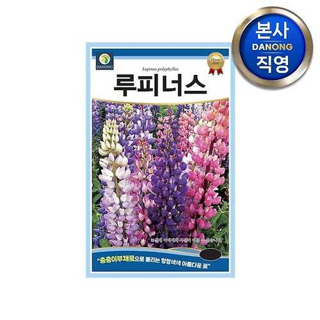다농 이미지