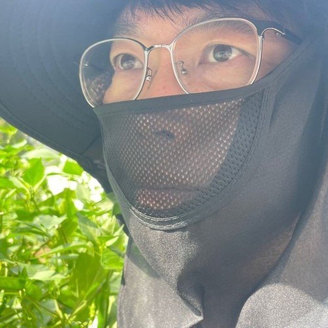 가리개&창 이미지