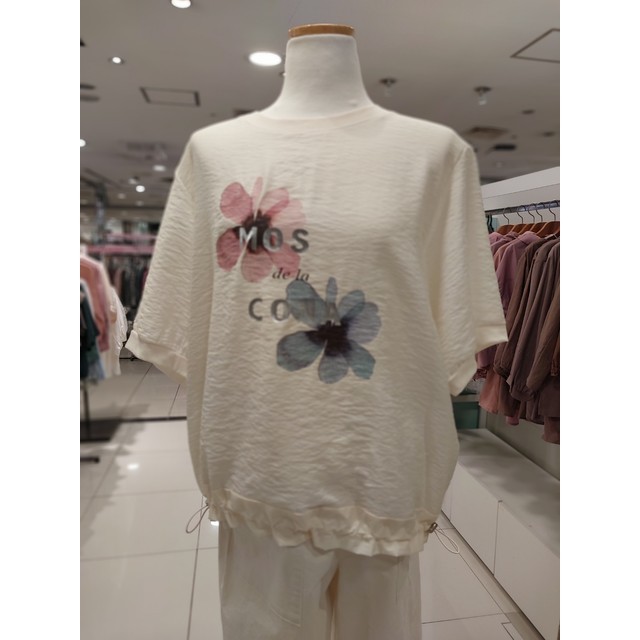 모스코나 이미지