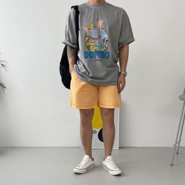 피그먼트 이미지