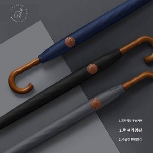 공상나무 이미지