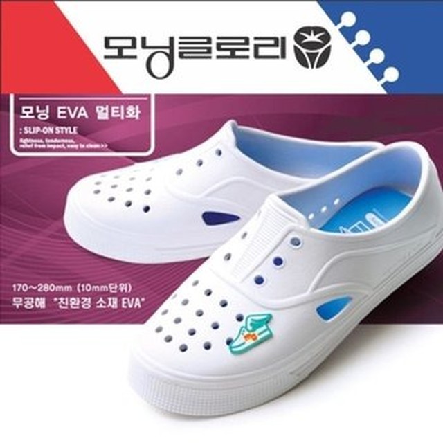 모닝글로리 이미지