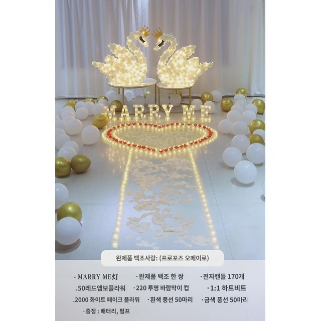 백조사 이미지