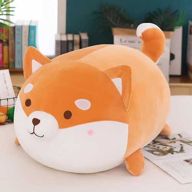 바디 이미지