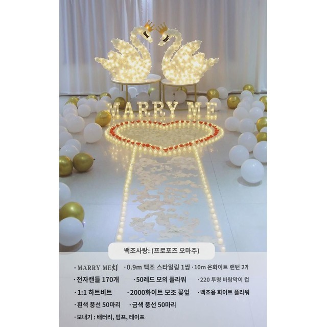 백조사 이미지
