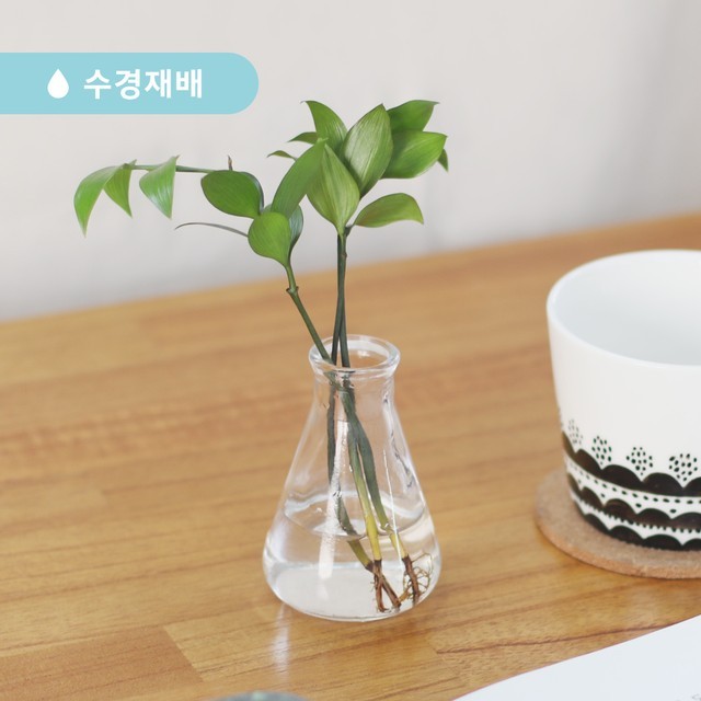 백운각 이미지