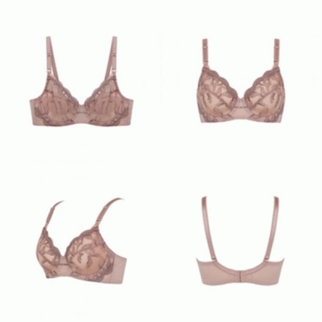 비너스슈 이미지