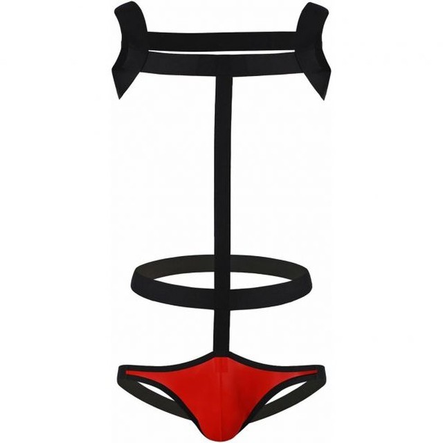 지스트링 이미지