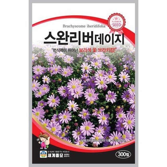 스완리버 이미지