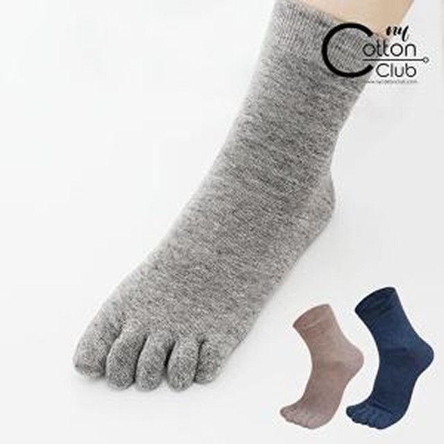 코튼 이미지