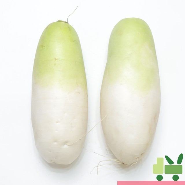 무 이미지